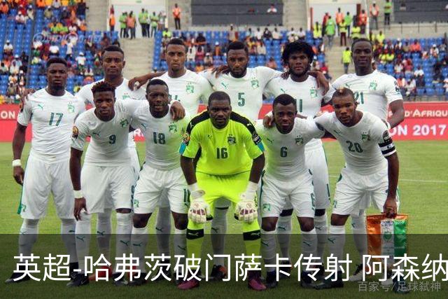 英超-哈弗茨破门萨卡传射 阿森纳2-0狼队
